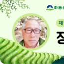 중앙로 느티나무길 이미지