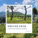 대안목장 | 의정부수목장 대안, 70대 노부부 상담 후기