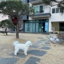 더글램 펜션 이미지