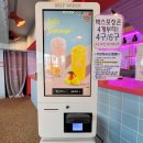 앨리스 도넛 이미지