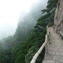 신선량 | 완료기이유식식단 게살야채죽 만드는법