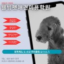 웰빙펫애견미용학원