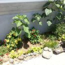 남해쁠라야 이미지