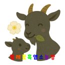 서문흑염소