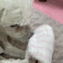 연지다방 이미지