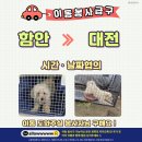 [함안보호소 유기견] 더운여름 보호소에서 구조되어 위탁처로 갈수있게 이동봉사자님찾아요(함안-대전-이천) 이미지