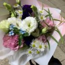 클로리스 플라워(CHLORIS FLOWER)