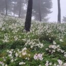 지리산 순심이네 캠핑 민박 이미지