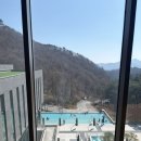 더힐링나인에이치이에이 | 충북 | 제천 포레스트 리솜 스파 후기(해브나인 힐링 스파 완벽 정리)