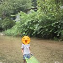 노리멍 | 충북 괴산 화양숲노리캠핑장_계곡 앞 물놀이 명소_아이들과 즐긴 힐링 가족 캠핑 후기 장점 좋은점 추천