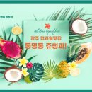 동명동 과일맛집 쥬청과