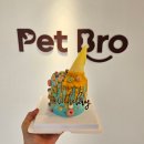 펫브로 | 강아지생일케이크 만들기 원데이클래스 펫브로 방문후기