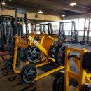 크레이짐 이미지