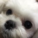 몽이미용실 이미지