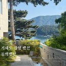 일곱번째 고양이 펜션 | 거제도 감성펜션 동백맨션 마당 바베큐에 고양이까지! 장단점 솔직 리뷰