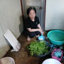 하나원주유소 이미지