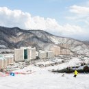 비발디파크