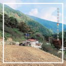 숲속농원민박 이미지