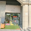 멍구르르 | 수원강아지케이크 특별한선물 ::멍구르르