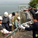 낙동강변19 이미지