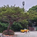 청기와한정식 이미지