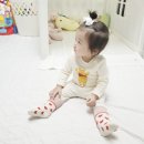 프림로제 이미지