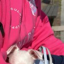 일루와농장 이미지