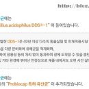 더 비앤에이(주) 이미지