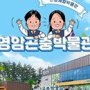 영암곤충박물관 이미지