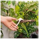 에버리움 이미지