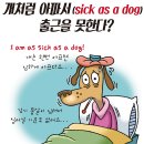모아 dog 이미지
