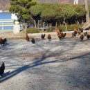 방원가든 이미지