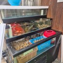 효자동설렁탕 동삭본점 | 인천맛집 : 서구청역맛집 조개타운 서구청본점