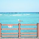 대촌미락 이미지