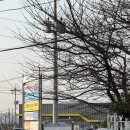 송호해수욕장2화장실 이미지