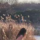 바나나헤어샵 이미지