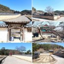 단풍이 흐드러진 청량사 가는 길(2)