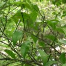 유자의 정원 - 강북구 | 유자의 정원