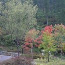 제이드가든 오토캠핑장 이미지