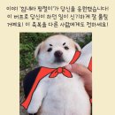 지크센트 이미지