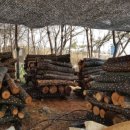 김포표고버섯농장 이미지