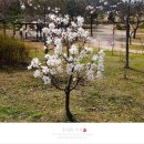 울림에향기 이미지