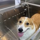 슈슈댕 구래점 이미지