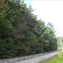 포항시북구62 이미지