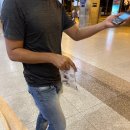 담지샘농장 | [공지] 베트남 피크타임 무이네 선라이즈 지프투어 팁 대방출