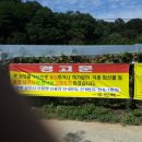 대주농장 이미지