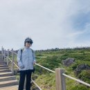 100세건강댄스 이미지