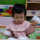 하얀솜 이미지