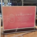 애국돼지