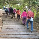 삼봉초등학교난지분교장 이미지